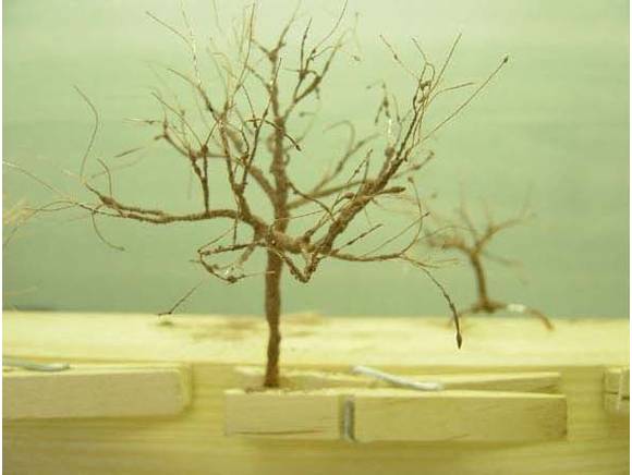 Fabrication d'arbres miniatures